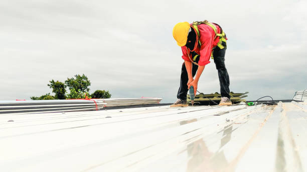 Best Green or Eco-Friendly Roofing Solutions  in Columbia, SC