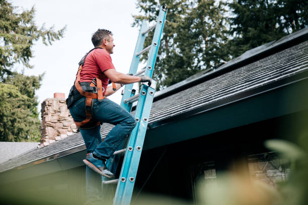 Best Roof Moss and Algae Removal  in Columbia, SC